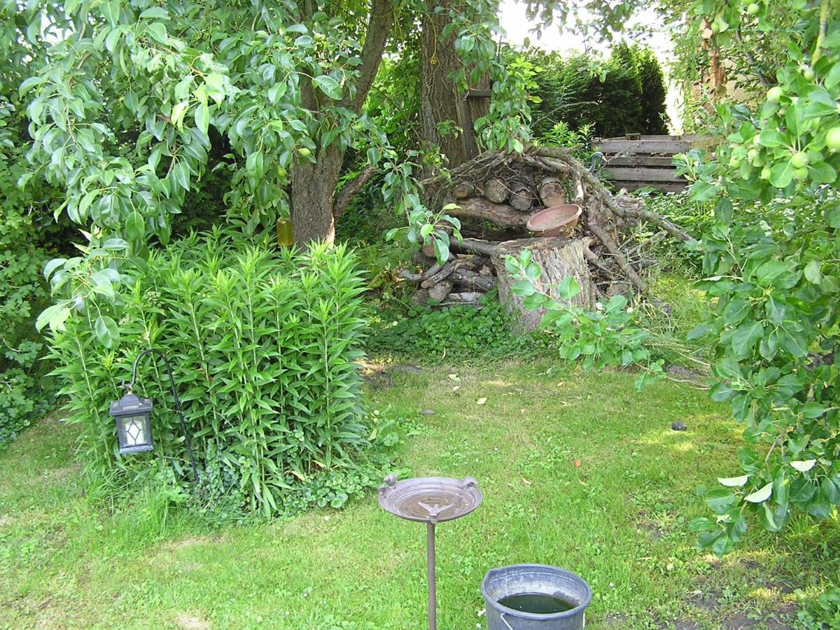 Peeneurlaub Lassan Exterior foto