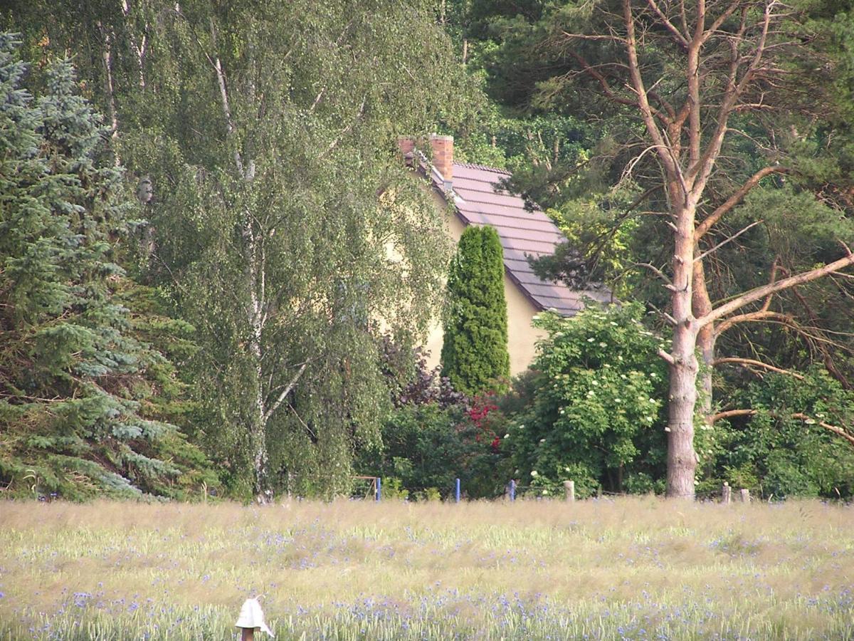 Peeneurlaub Lassan Exterior foto
